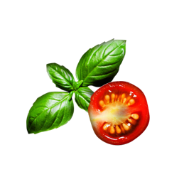 tomate et feuilles de basilic